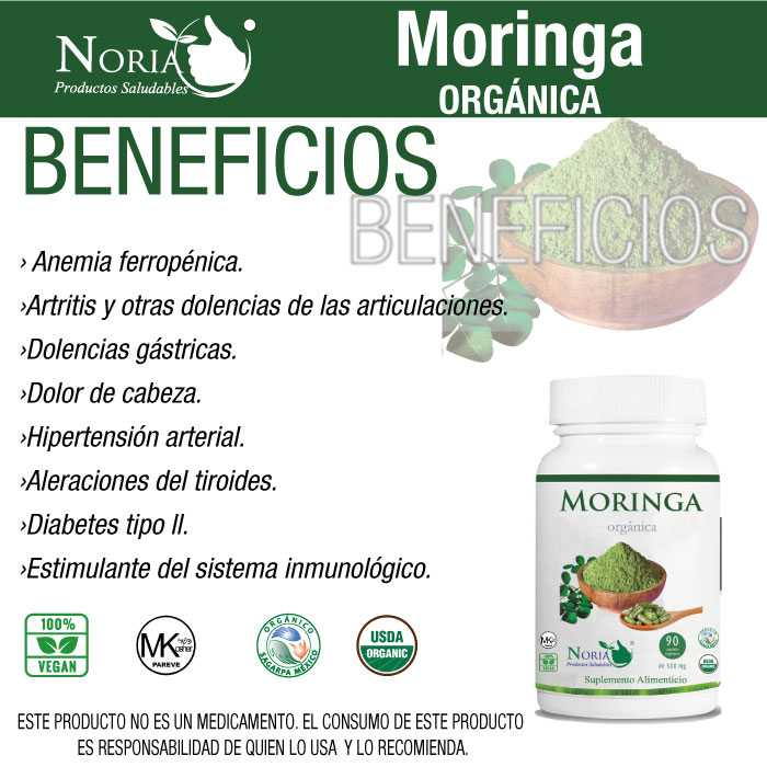MORINGA CÁPSULAS