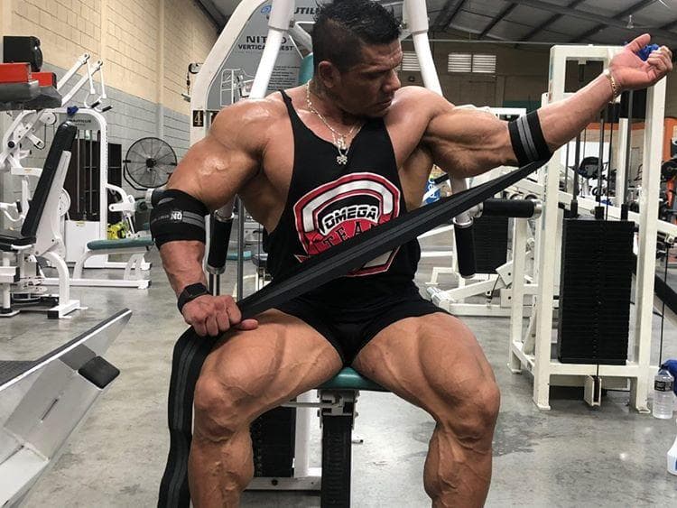 GN FITNESS - Coderas para gym - Coderas de compresion - Vendas de codo Gym -  Coderas Gym - Brinda soporte y estabilidad a la articulacion del codo - ADIOS AL DOLOR DURANTE EL ENTRENAMIENTO