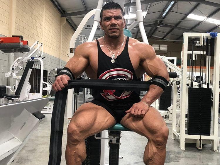 GN FITNESS - Coderas para gym - Coderas de compresion - Vendas de codo Gym -  Coderas Gym - Brinda soporte y estabilidad a la articulacion del codo - ADIOS AL DOLOR DURANTE EL ENTRENAMIENTO