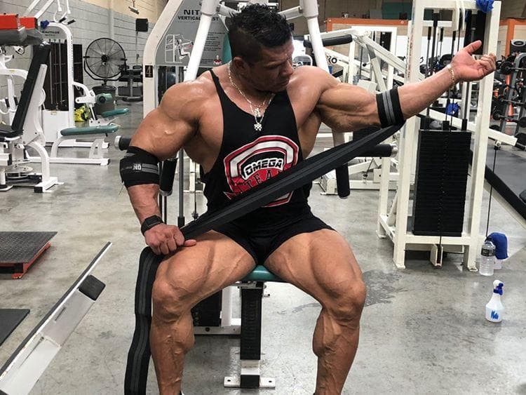 GN FITNESS - Coderas para gym - Coderas de compresion - Vendas de codo Gym -  Coderas Gym - Brinda soporte y estabilidad a la articulacion del codo - ADIOS AL DOLOR DURANTE EL ENTRENAMIENTO