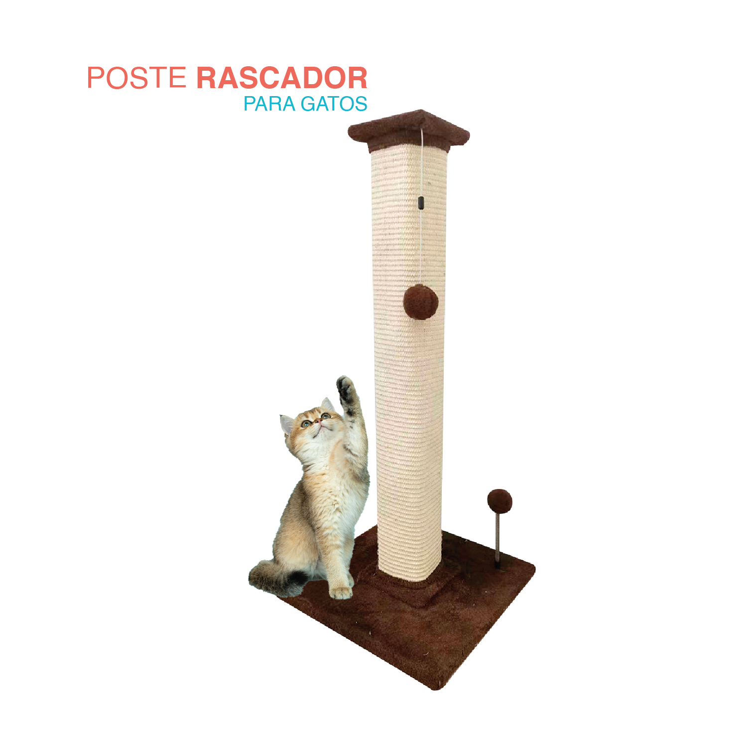 Poste rascador Birmano para gato