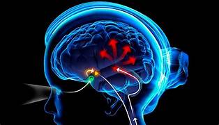 Biovea Melatonina gomitas 10mg (mezcla de bayas) 120 gomitas