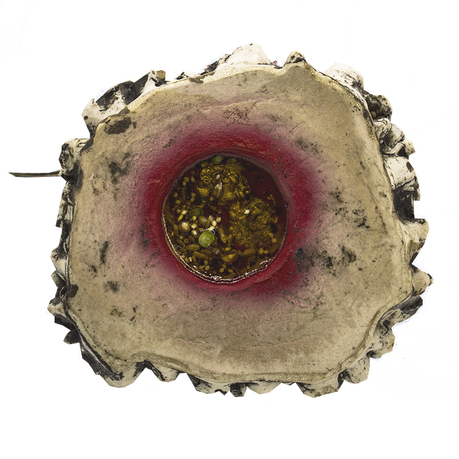 Santa Muerte Reversible Suprema Trono 30 Cm Curada + Libro