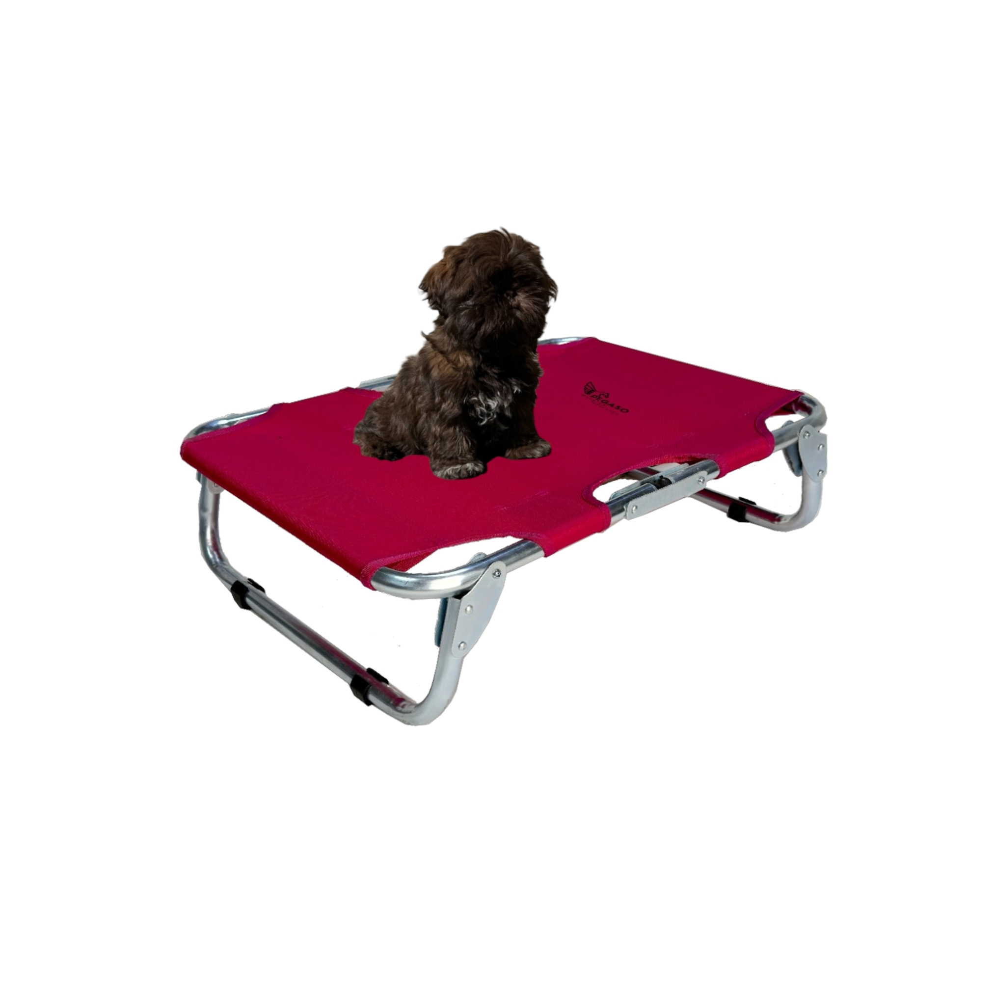 PEGASO Cama Elevada para Perro tamaño Chico, 63x46x18.5 cm (Mod KM-CH)