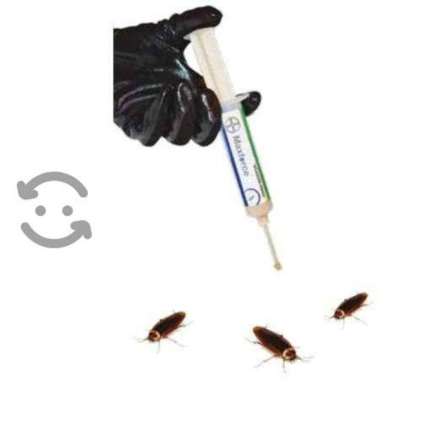 Max Force De Bayer Jeringa Con 30 Gramos Cebo Para Cucaracha.