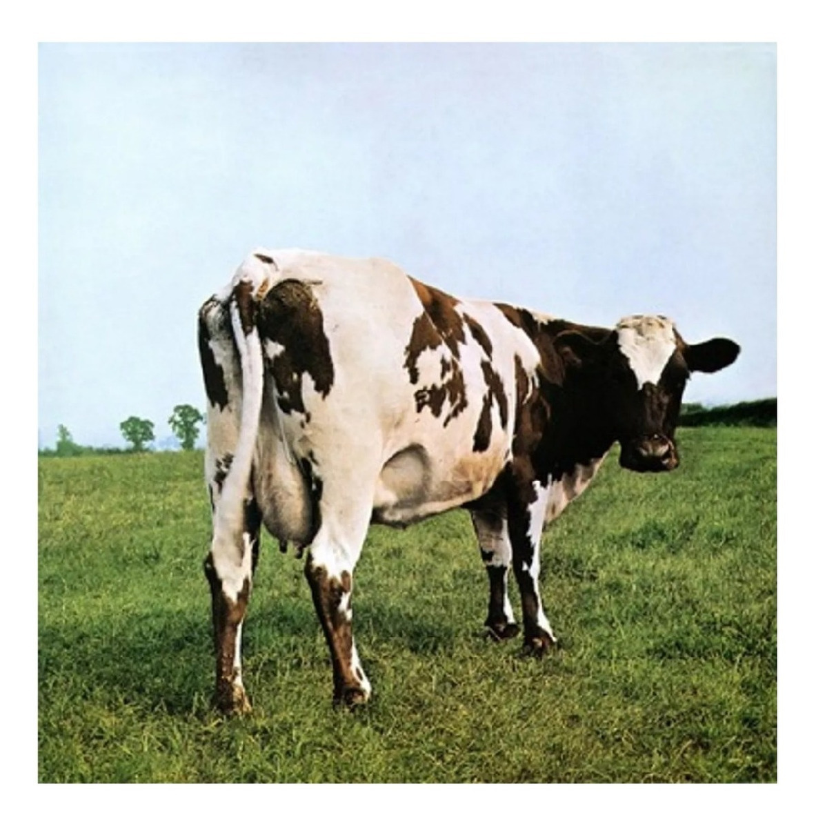 Pink Floyd Atom Heart Mother Remastered Lp  Vinyl 12"