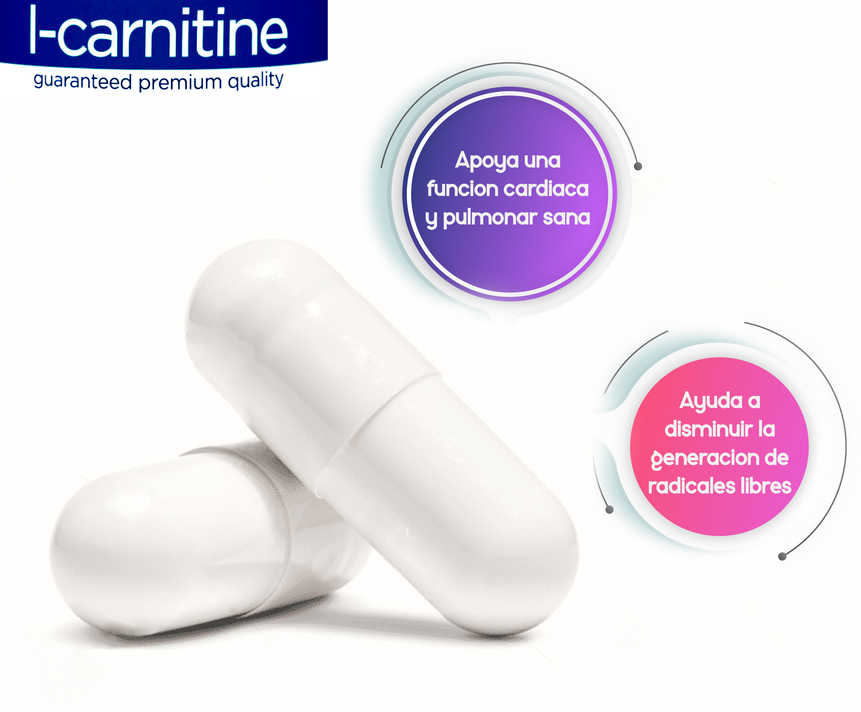 Biovea l-carnitina 2000mg 60 pastillas