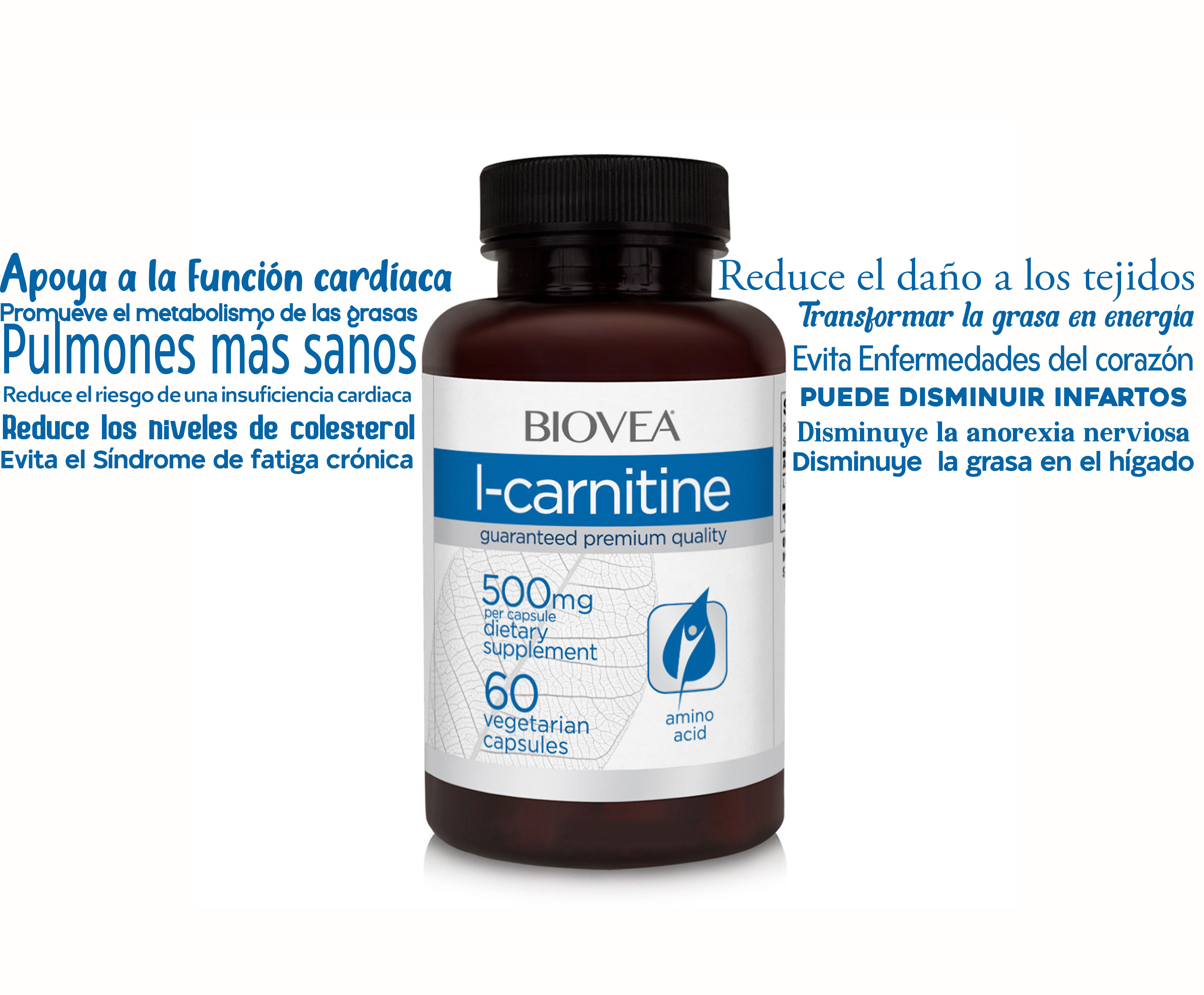que funcion tiene la l carnitina L-Carnitina Capsulas MDN Sports | Carnitina Tartrato | MDNLabs